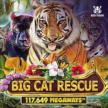 Redtiger : Big Cat Rescue Megaways - HEROBET168