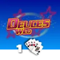 Deuces Wild 1 Hand - HEROBET168