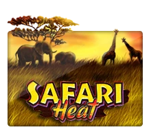 Joker123 : Safari Heat - HEROBET168