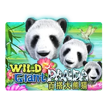 Joker123 : Wild Giant Panda - HEROBET168