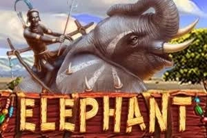 PLAYSTAR : ELEPHANT - HEROBET168