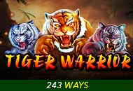 Spadegaming : Tiger Warrior - HEROBET168