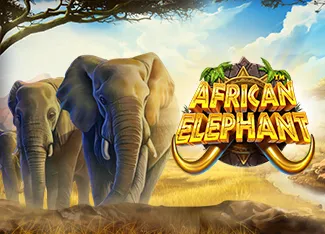Pragmatic : African Elephant - HEROBET168